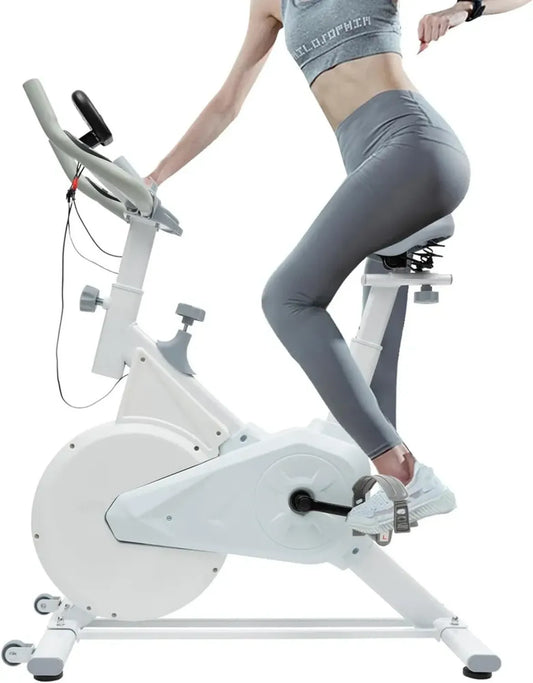 Vélo d'Exercice Intérieur avec Écran LCD et Bandes de Résistance - Capacité 80 kg